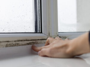 Best Ways To Control Moisture