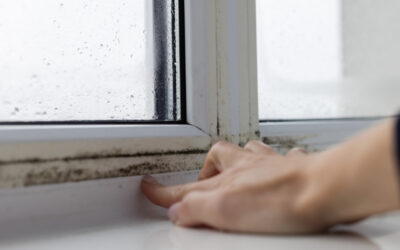 Best Ways to Control Moisture During Cape Charles, VA’s Humid Summers